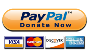 Paypal donate now button